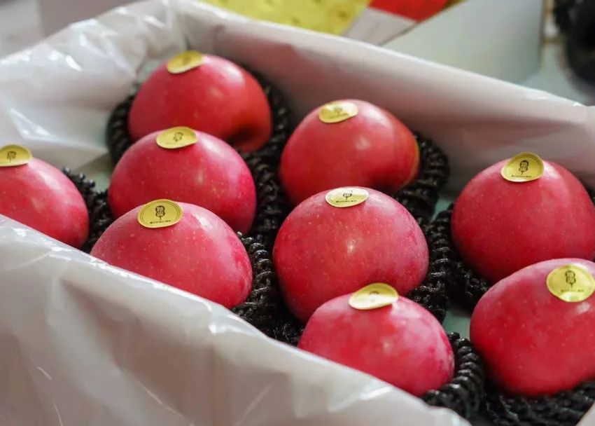 weixinc328bbd1 weixinc328bbd1